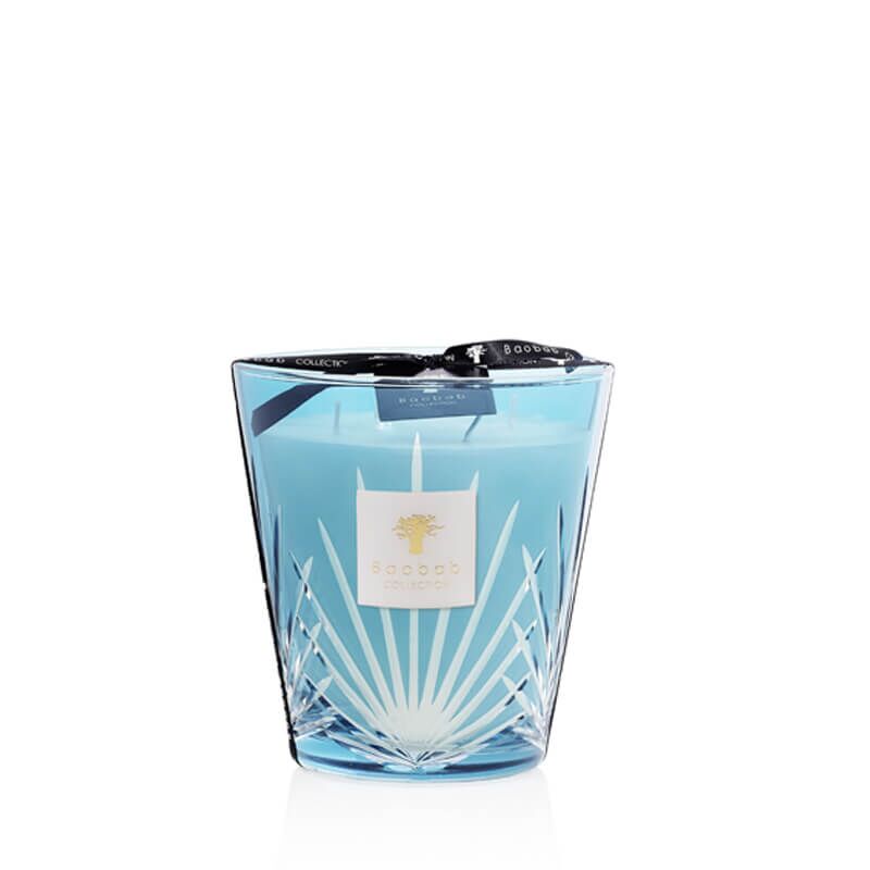 Baobab - West Palm - Palm Collection - Duftkerze Max 16