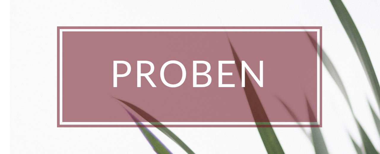 Proben-4