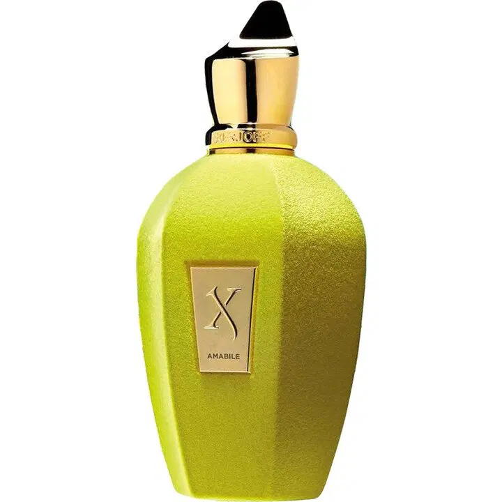 XerJoff V - Amabile - Velvet Kollektion - EdP 50ml & 100ml